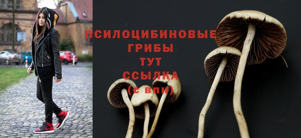 экстази Аркадак
