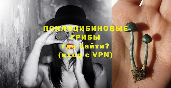 метадон Пересвет